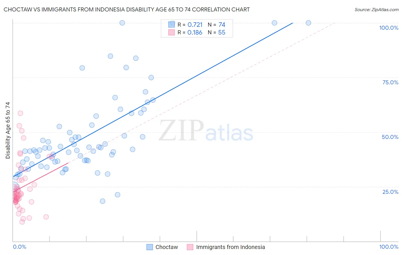 Choctaw vs Immigrants from Indonesia Disability Age 65 to 74
