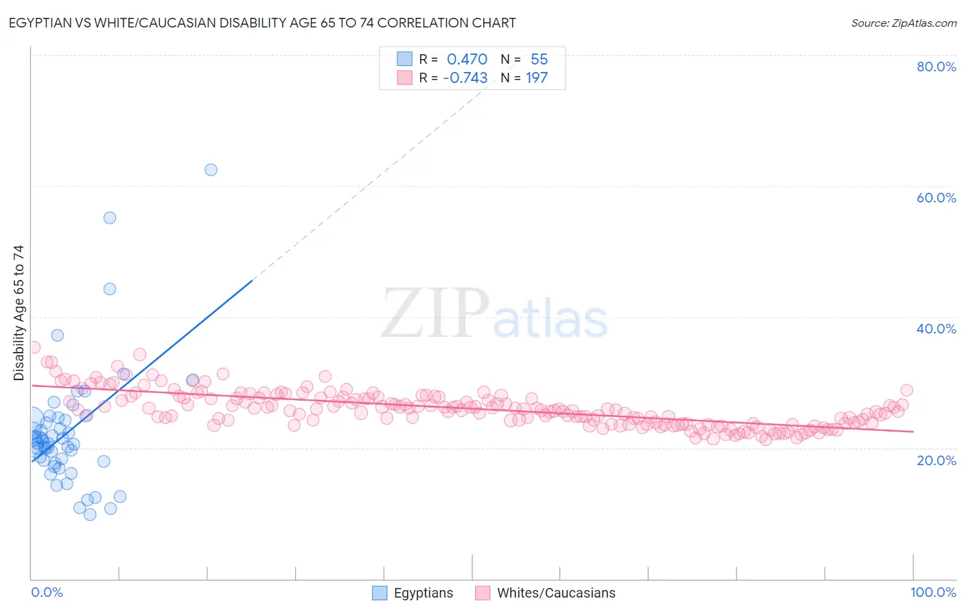 Egyptian vs White/Caucasian Disability Age 65 to 74