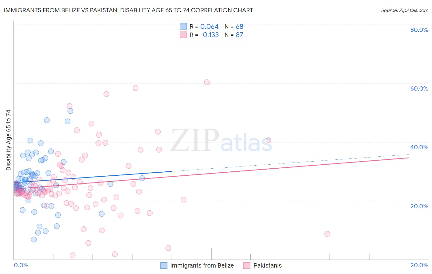 Immigrants from Belize vs Pakistani Disability Age 65 to 74