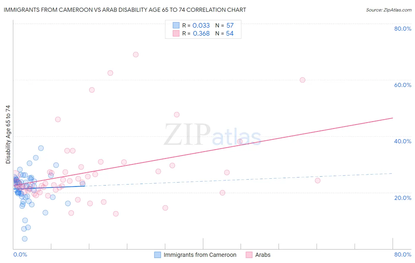 Immigrants from Cameroon vs Arab Disability Age 65 to 74