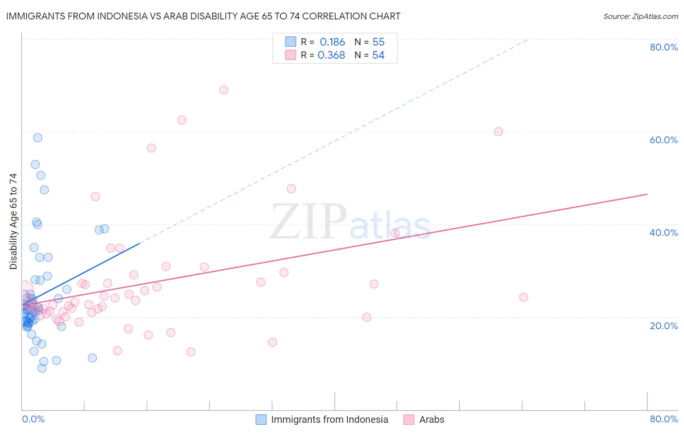 Immigrants from Indonesia vs Arab Disability Age 65 to 74