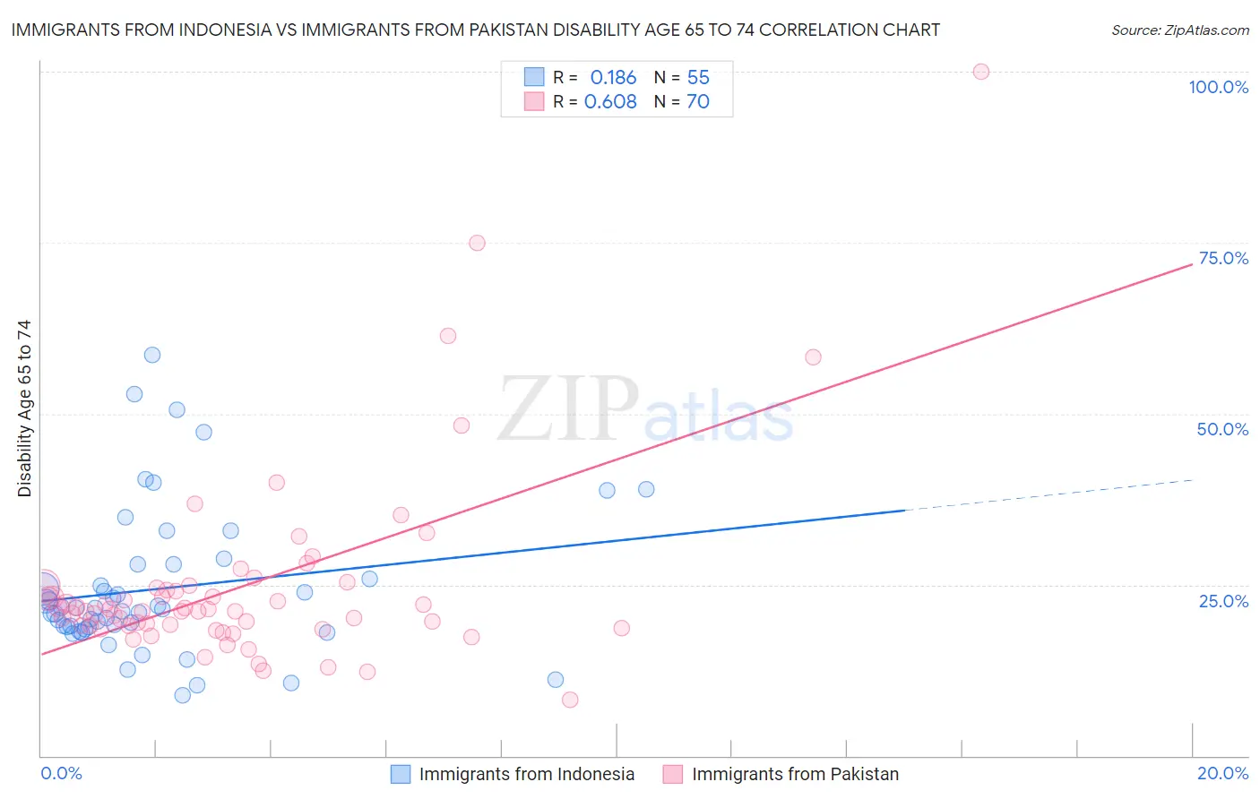 Immigrants from Indonesia vs Immigrants from Pakistan Disability Age 65 to 74