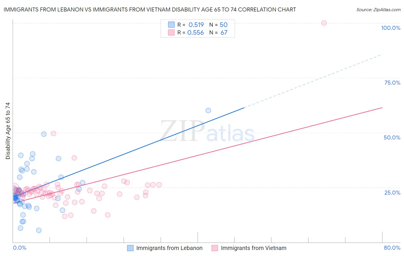 Immigrants from Lebanon vs Immigrants from Vietnam Disability Age 65 to 74