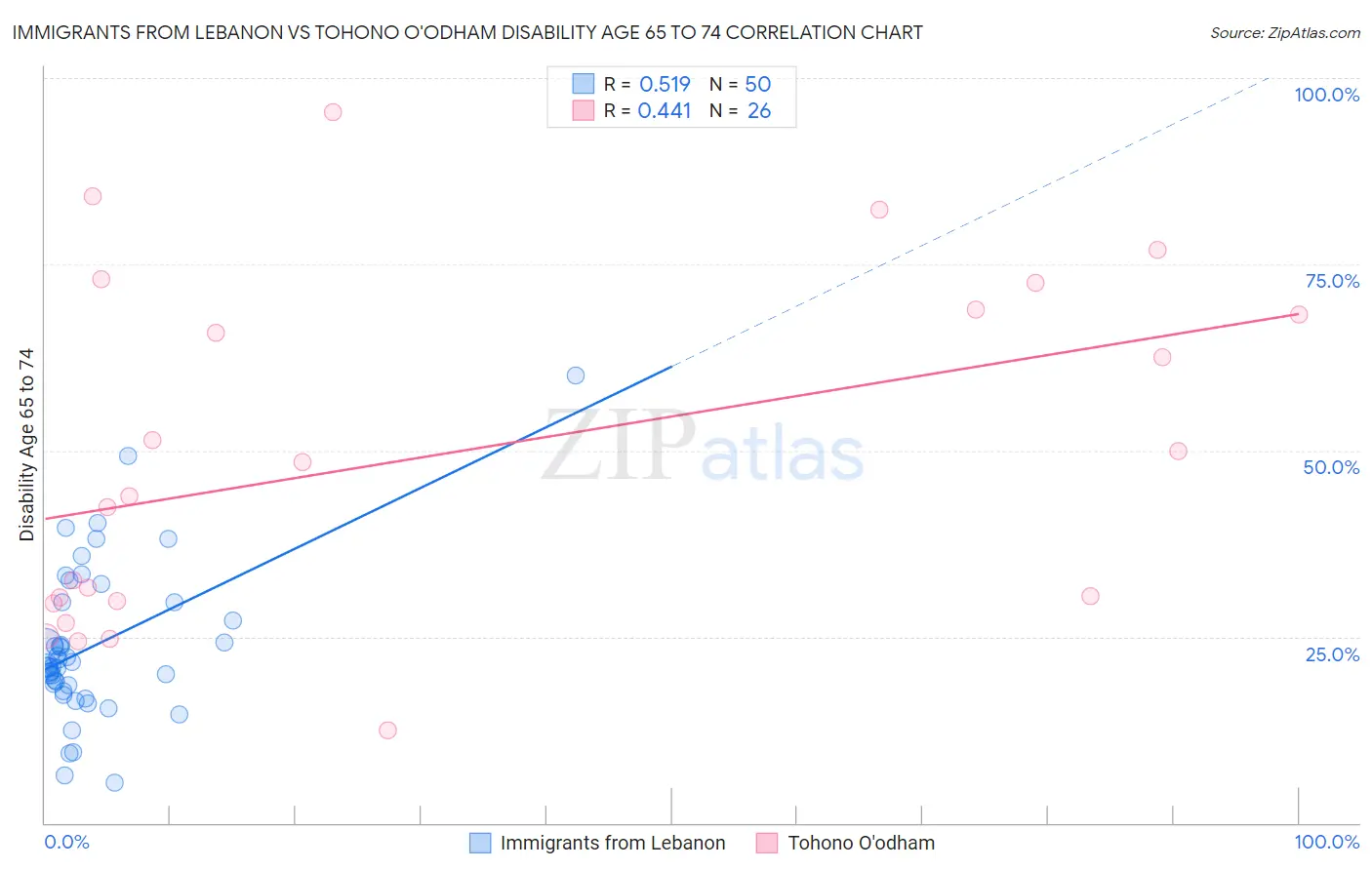 Immigrants from Lebanon vs Tohono O'odham Disability Age 65 to 74