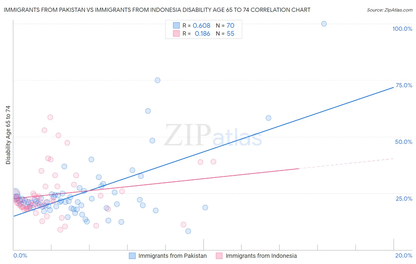 Immigrants from Pakistan vs Immigrants from Indonesia Disability Age 65 to 74