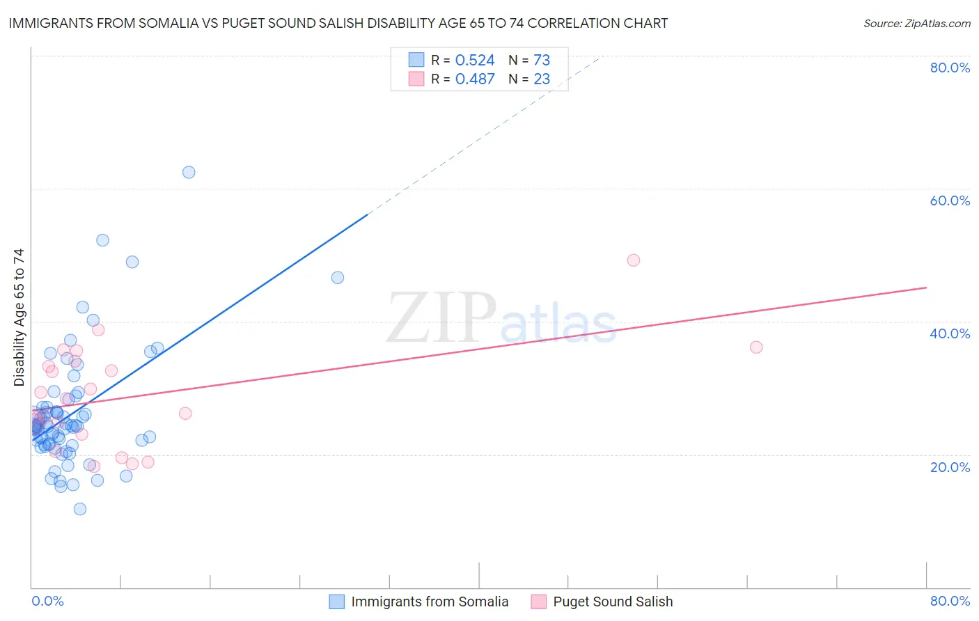 Immigrants from Somalia vs Puget Sound Salish Disability Age 65 to 74