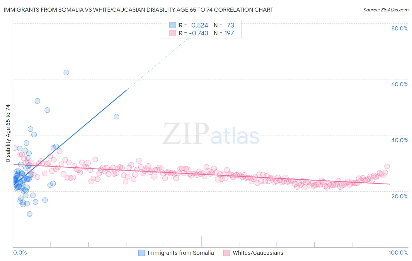 Immigrants from Somalia vs White/Caucasian Disability Age 65 to 74