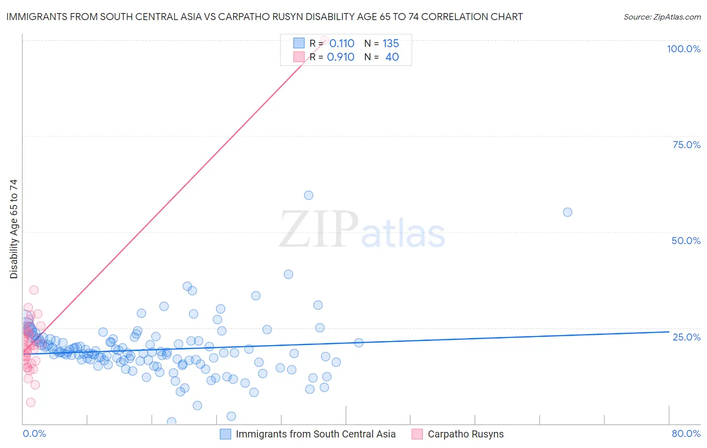 Immigrants from South Central Asia vs Carpatho Rusyn Disability Age 65 to 74
