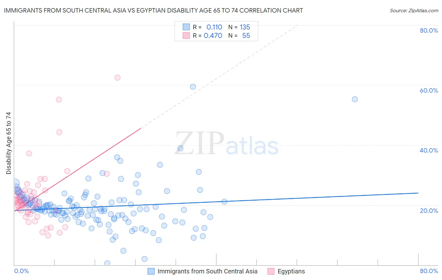 Immigrants from South Central Asia vs Egyptian Disability Age 65 to 74