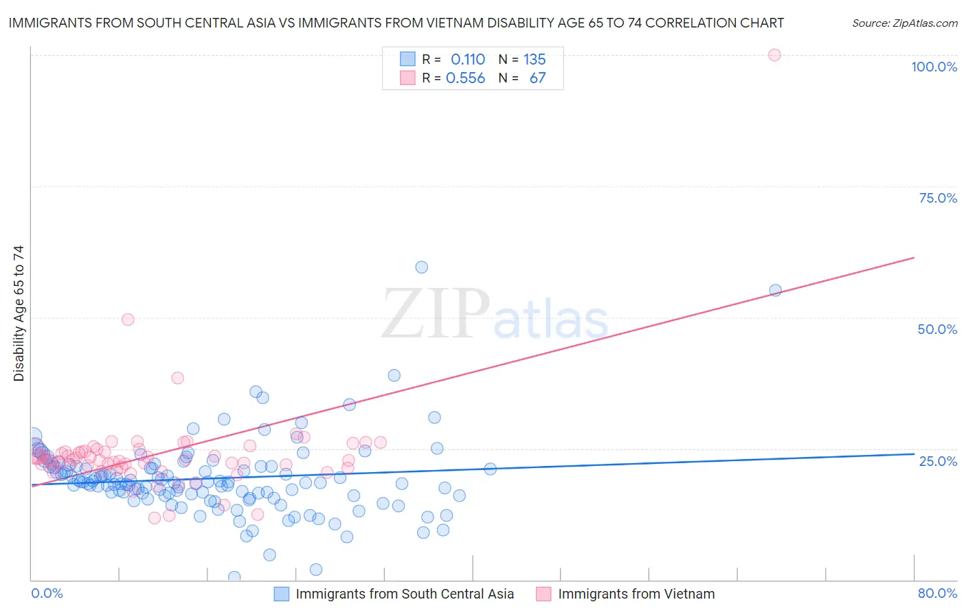 Immigrants from South Central Asia vs Immigrants from Vietnam Disability Age 65 to 74