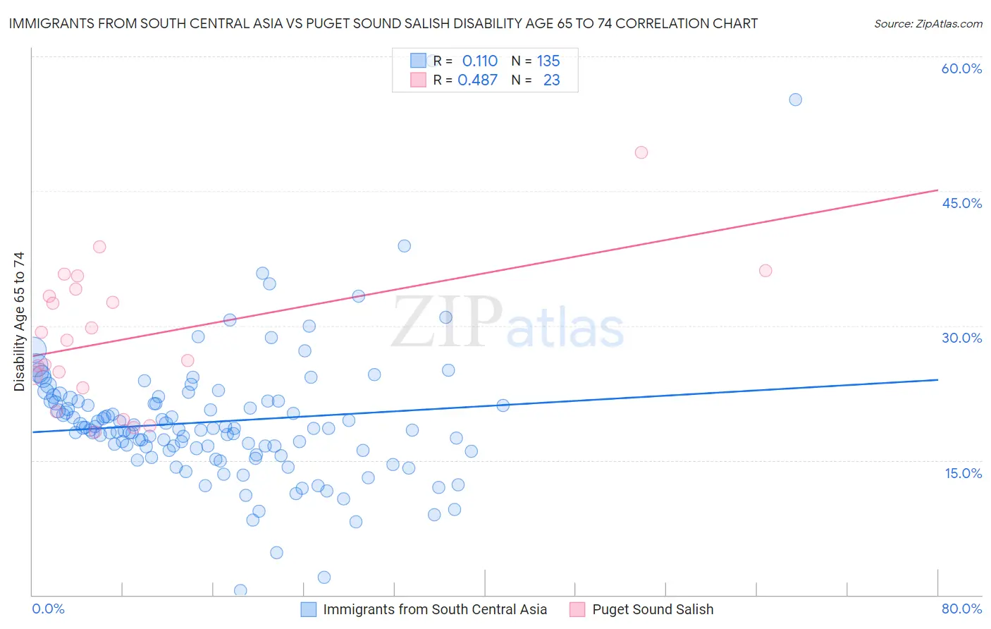 Immigrants from South Central Asia vs Puget Sound Salish Disability Age 65 to 74