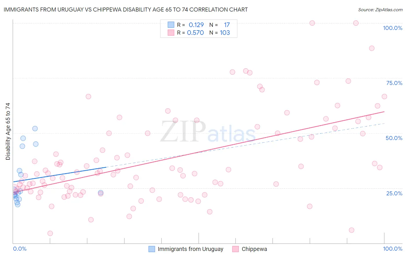 Immigrants from Uruguay vs Chippewa Disability Age 65 to 74