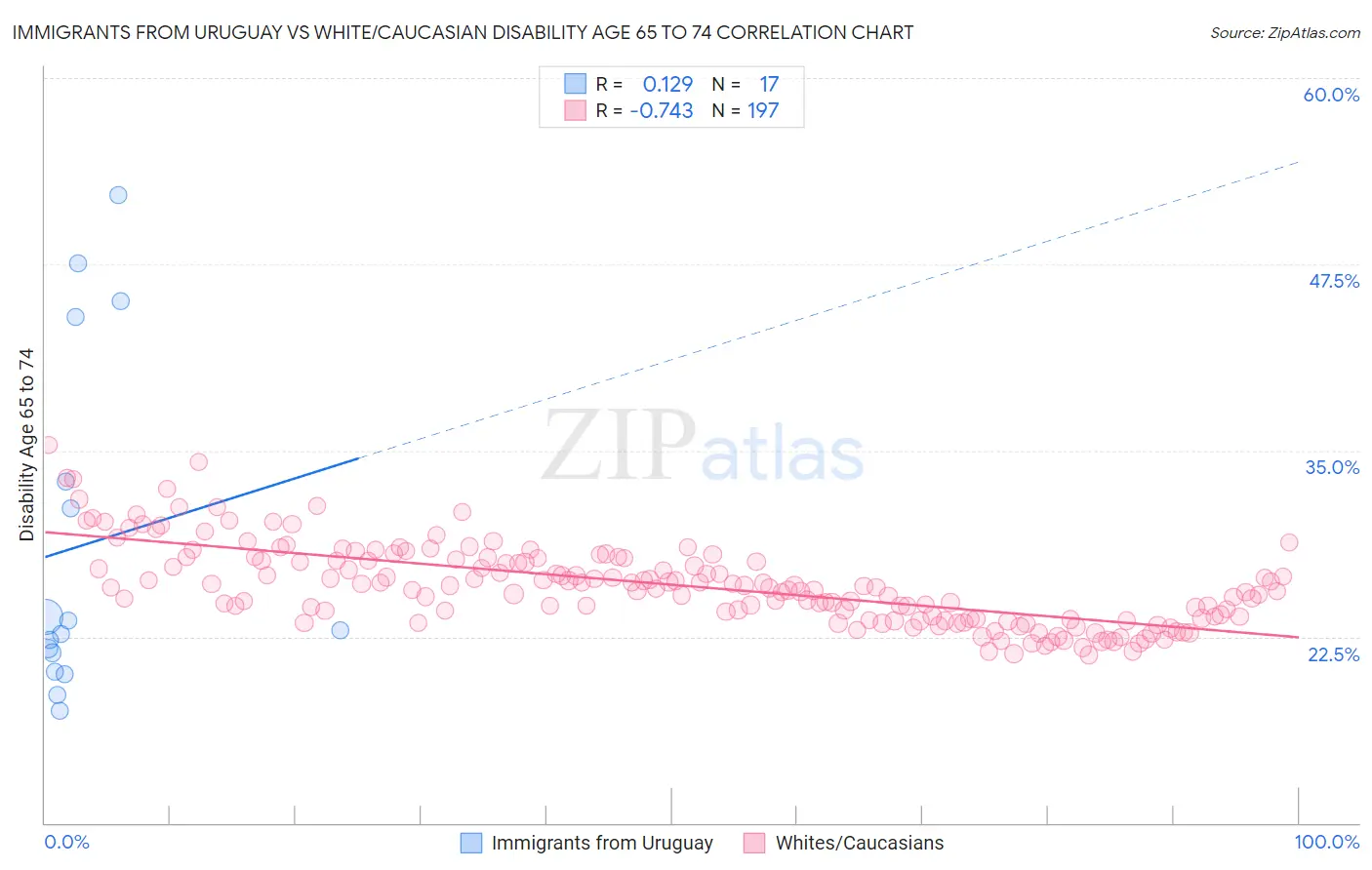 Immigrants from Uruguay vs White/Caucasian Disability Age 65 to 74