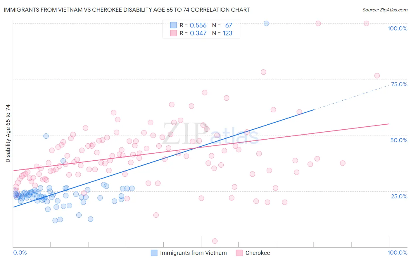 Immigrants from Vietnam vs Cherokee Disability Age 65 to 74