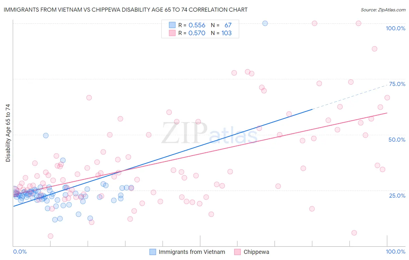 Immigrants from Vietnam vs Chippewa Disability Age 65 to 74