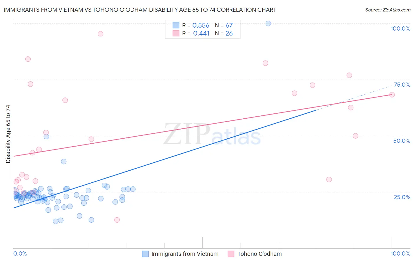 Immigrants from Vietnam vs Tohono O'odham Disability Age 65 to 74