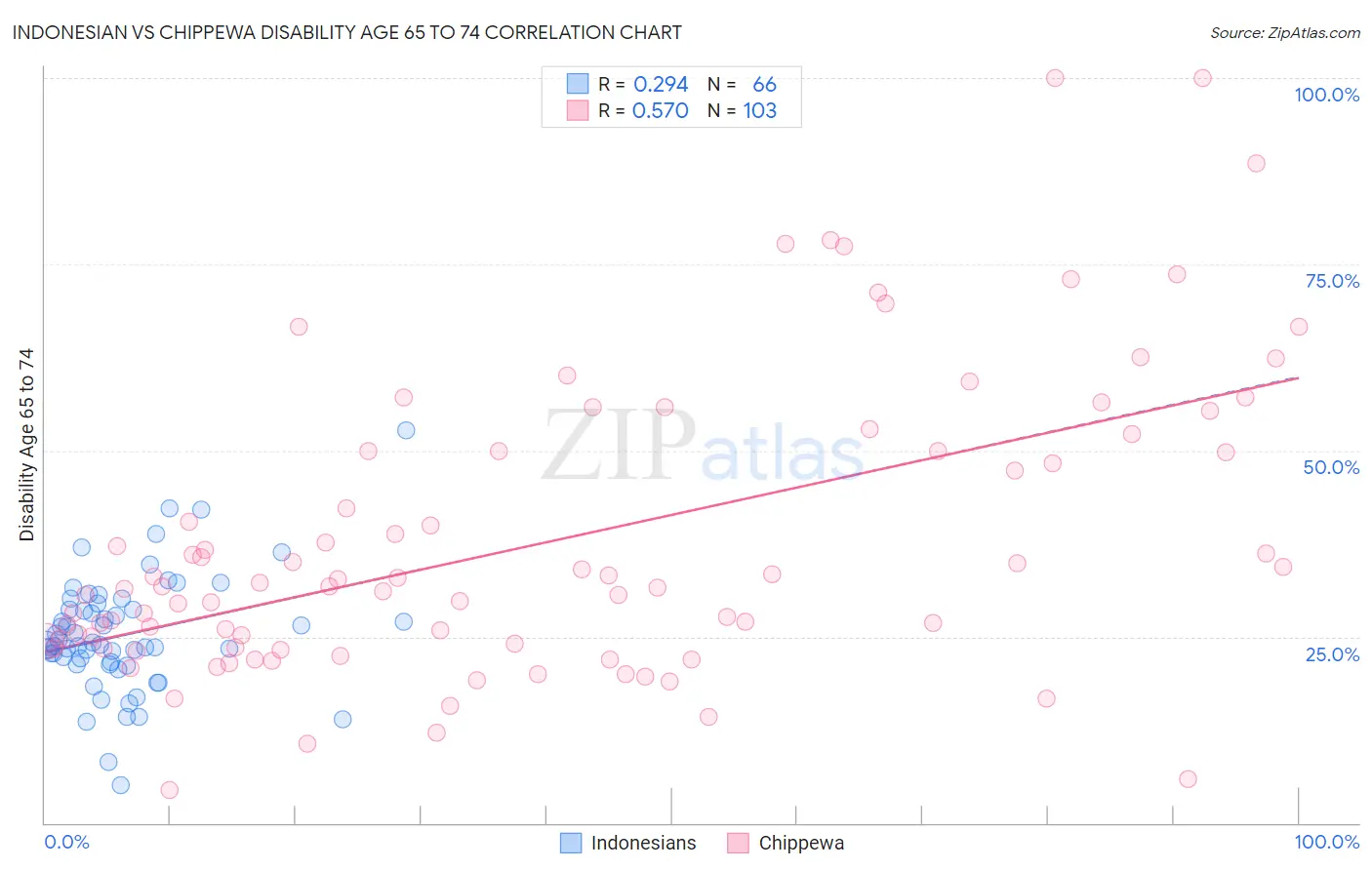 Indonesian vs Chippewa Disability Age 65 to 74