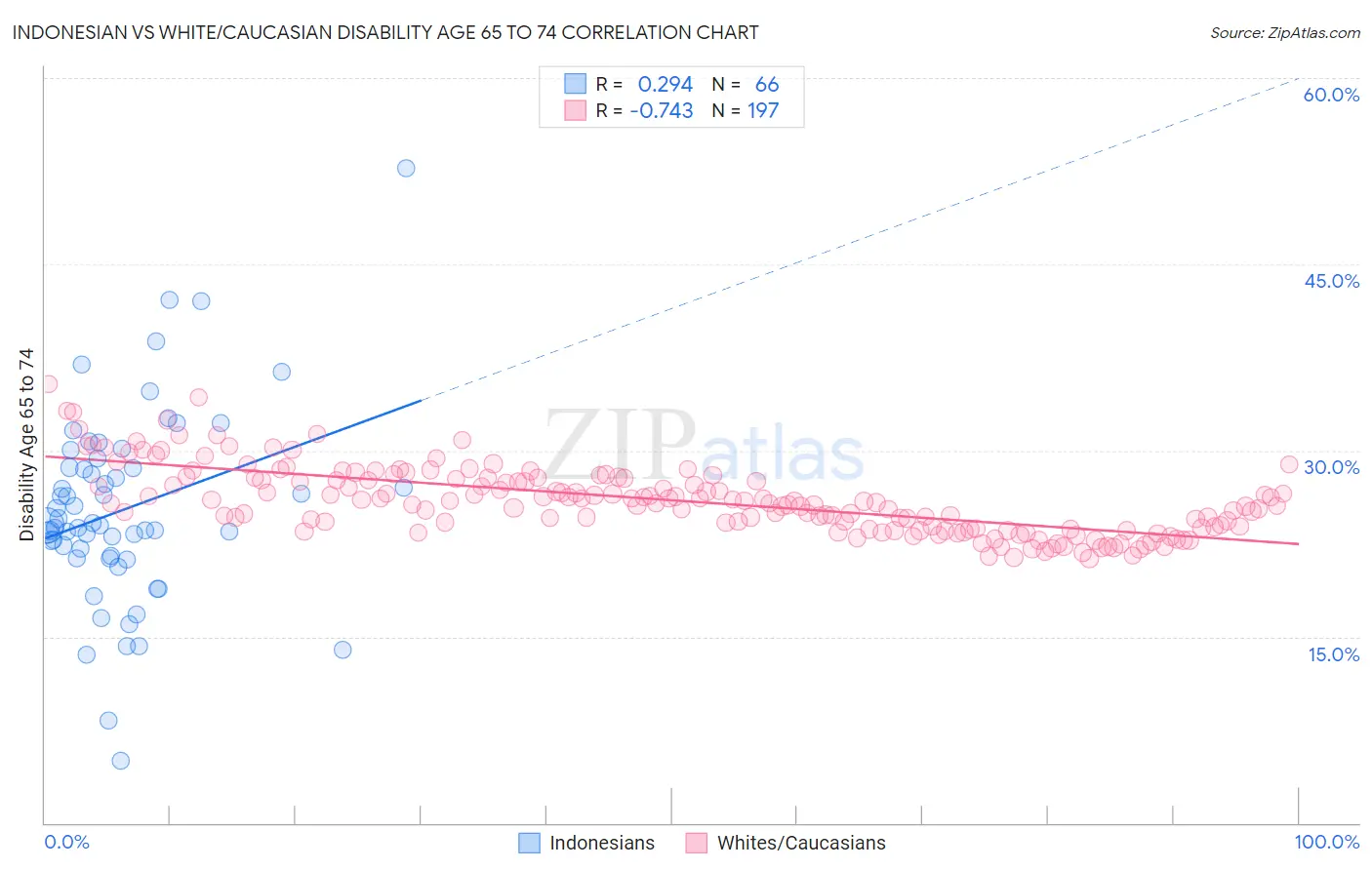 Indonesian vs White/Caucasian Disability Age 65 to 74