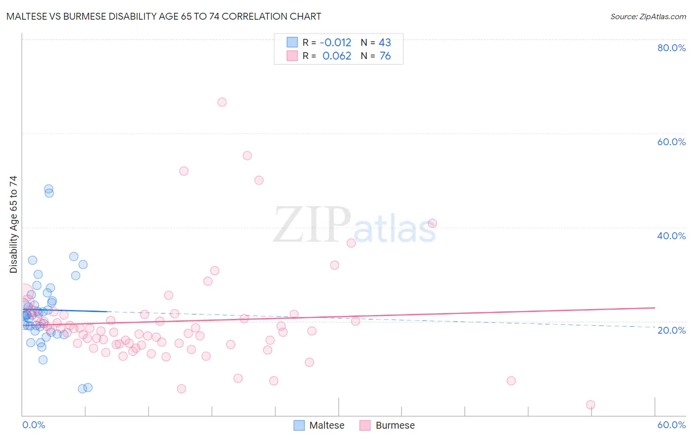 Maltese vs Burmese Disability Age 65 to 74