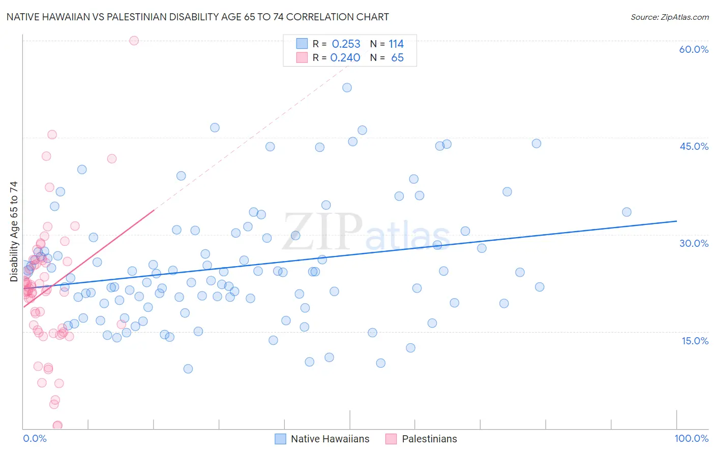 Native Hawaiian vs Palestinian Disability Age 65 to 74