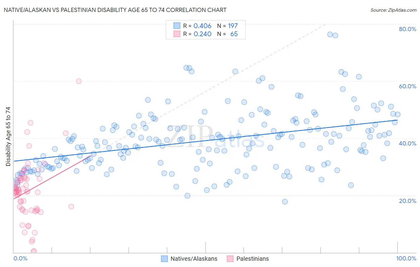 Native/Alaskan vs Palestinian Disability Age 65 to 74