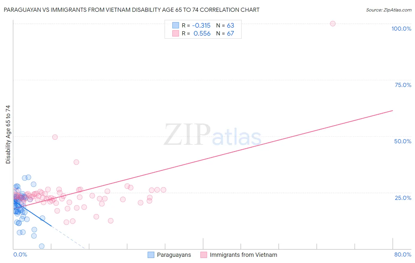 Paraguayan vs Immigrants from Vietnam Disability Age 65 to 74