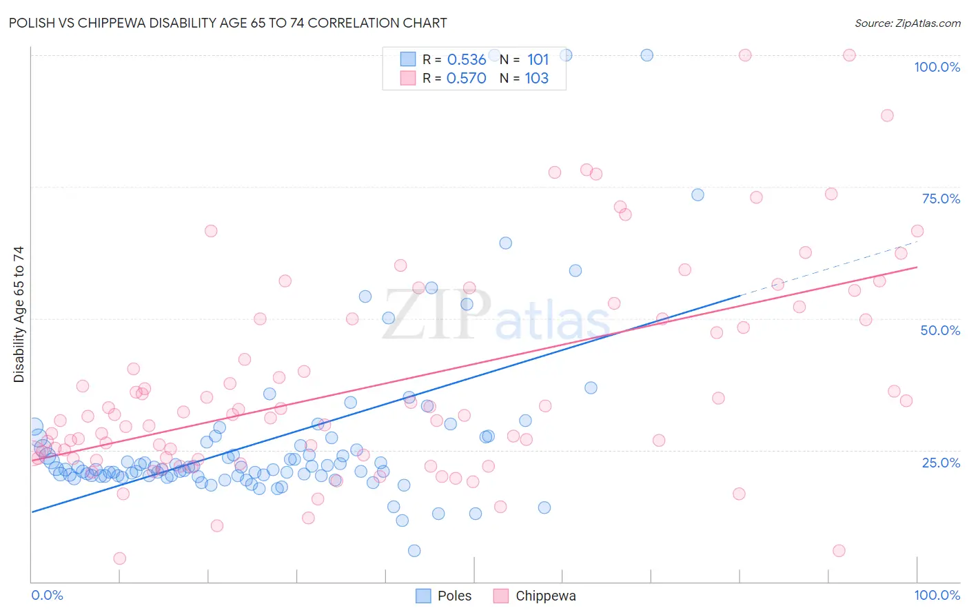 Polish vs Chippewa Disability Age 65 to 74