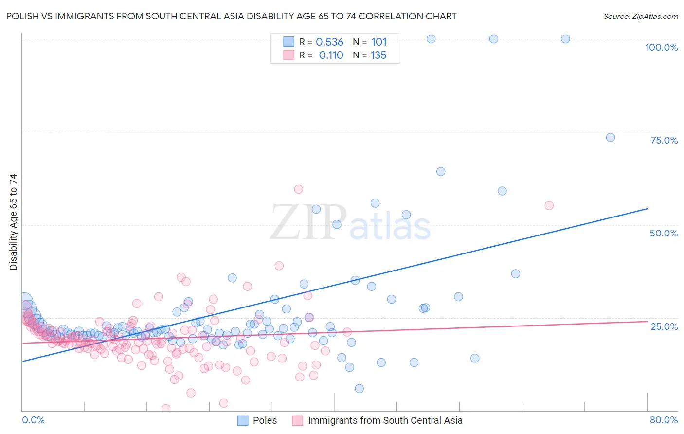 Polish vs Immigrants from South Central Asia Disability Age 65 to 74