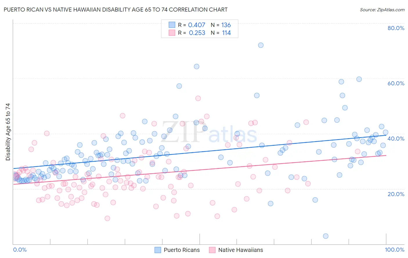 Puerto Rican vs Native Hawaiian Disability Age 65 to 74