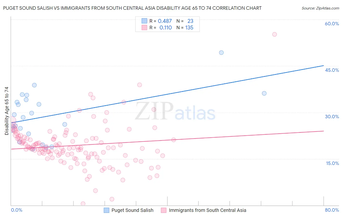 Puget Sound Salish vs Immigrants from South Central Asia Disability Age 65 to 74