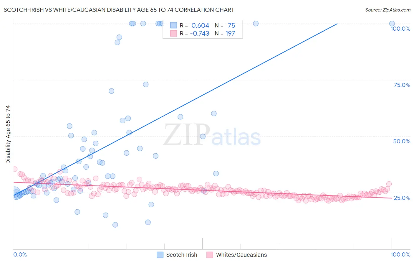 Scotch-Irish vs White/Caucasian Disability Age 65 to 74