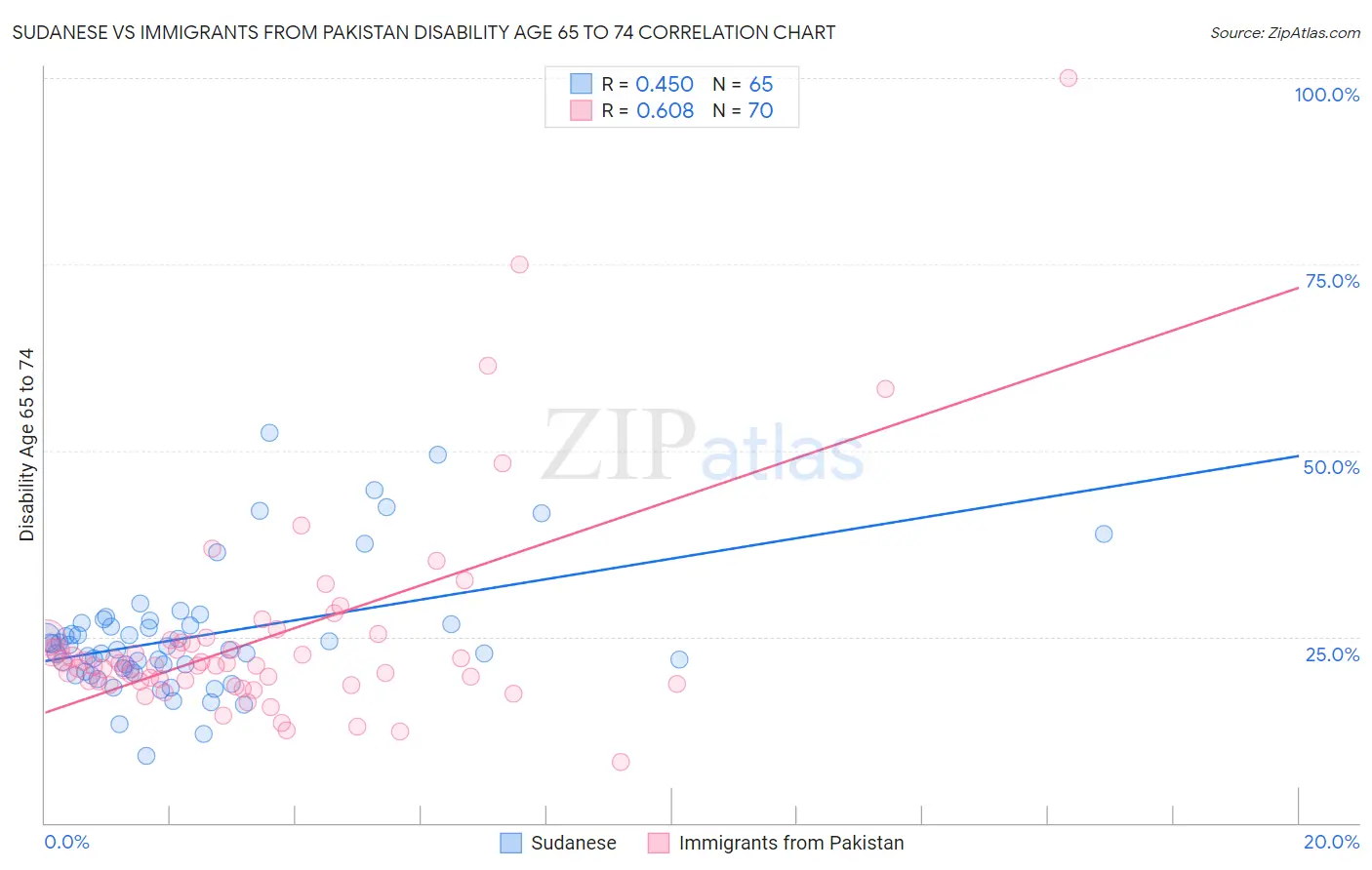 Sudanese vs Immigrants from Pakistan Disability Age 65 to 74