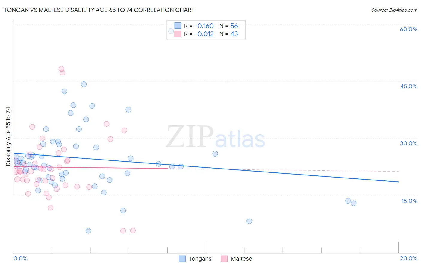Tongan vs Maltese Disability Age 65 to 74