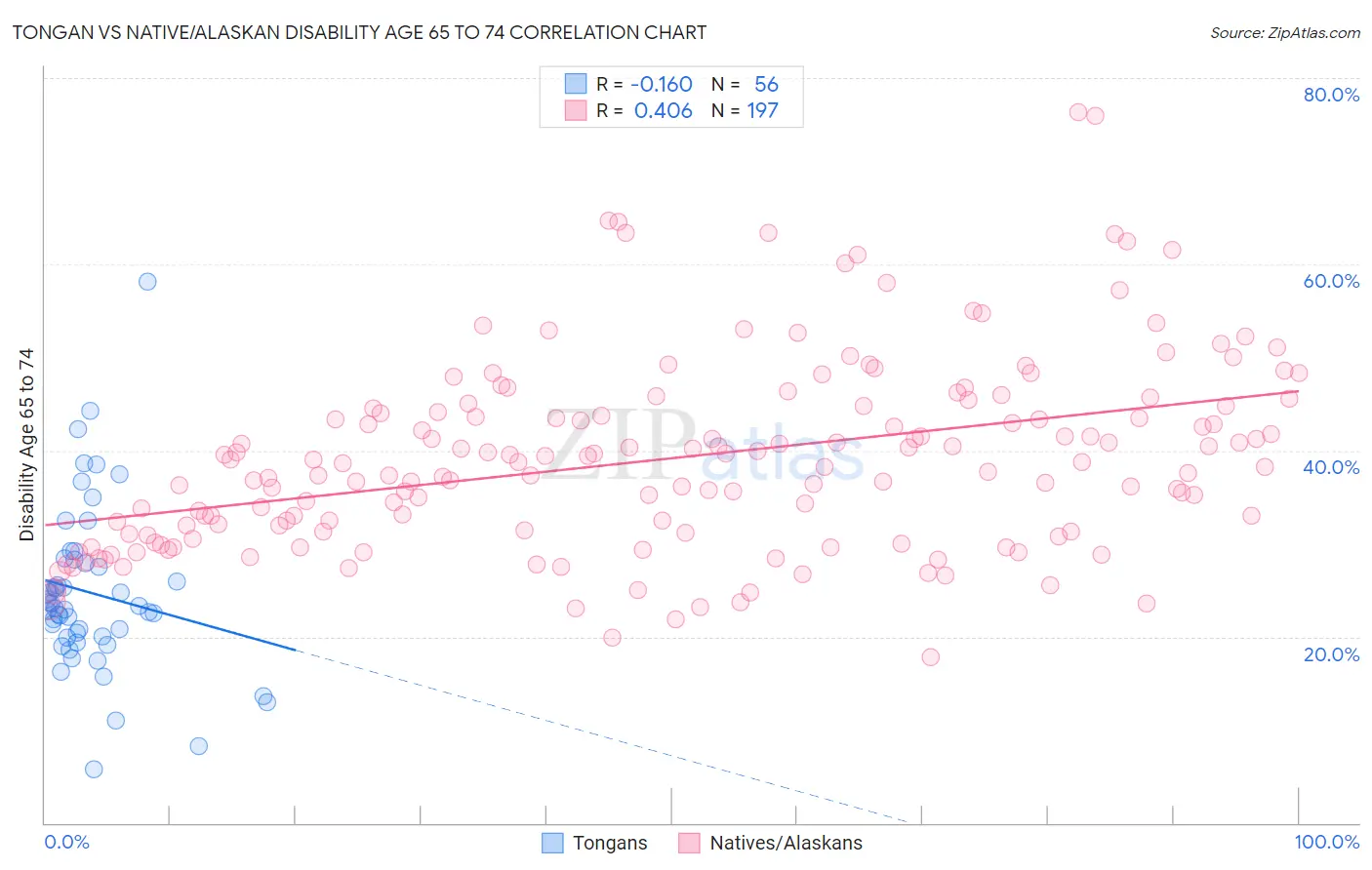 Tongan vs Native/Alaskan Disability Age 65 to 74