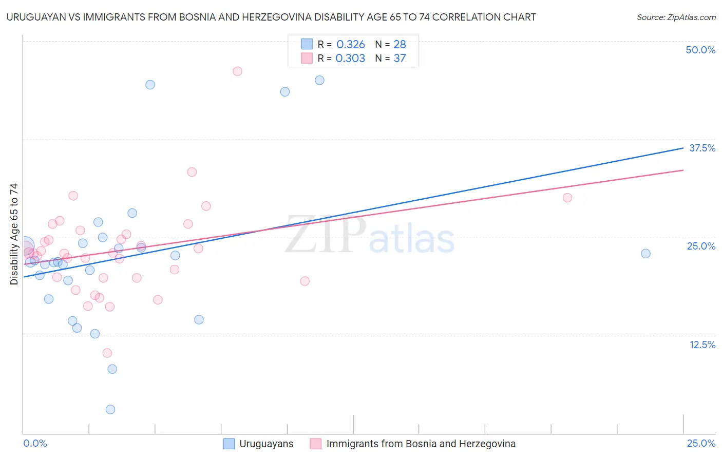 Uruguayan vs Immigrants from Bosnia and Herzegovina Disability Age 65 to 74