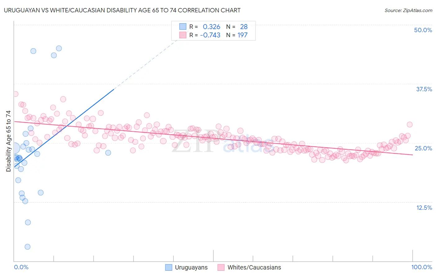 Uruguayan vs White/Caucasian Disability Age 65 to 74