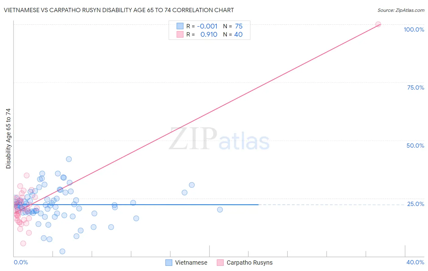 Vietnamese vs Carpatho Rusyn Disability Age 65 to 74