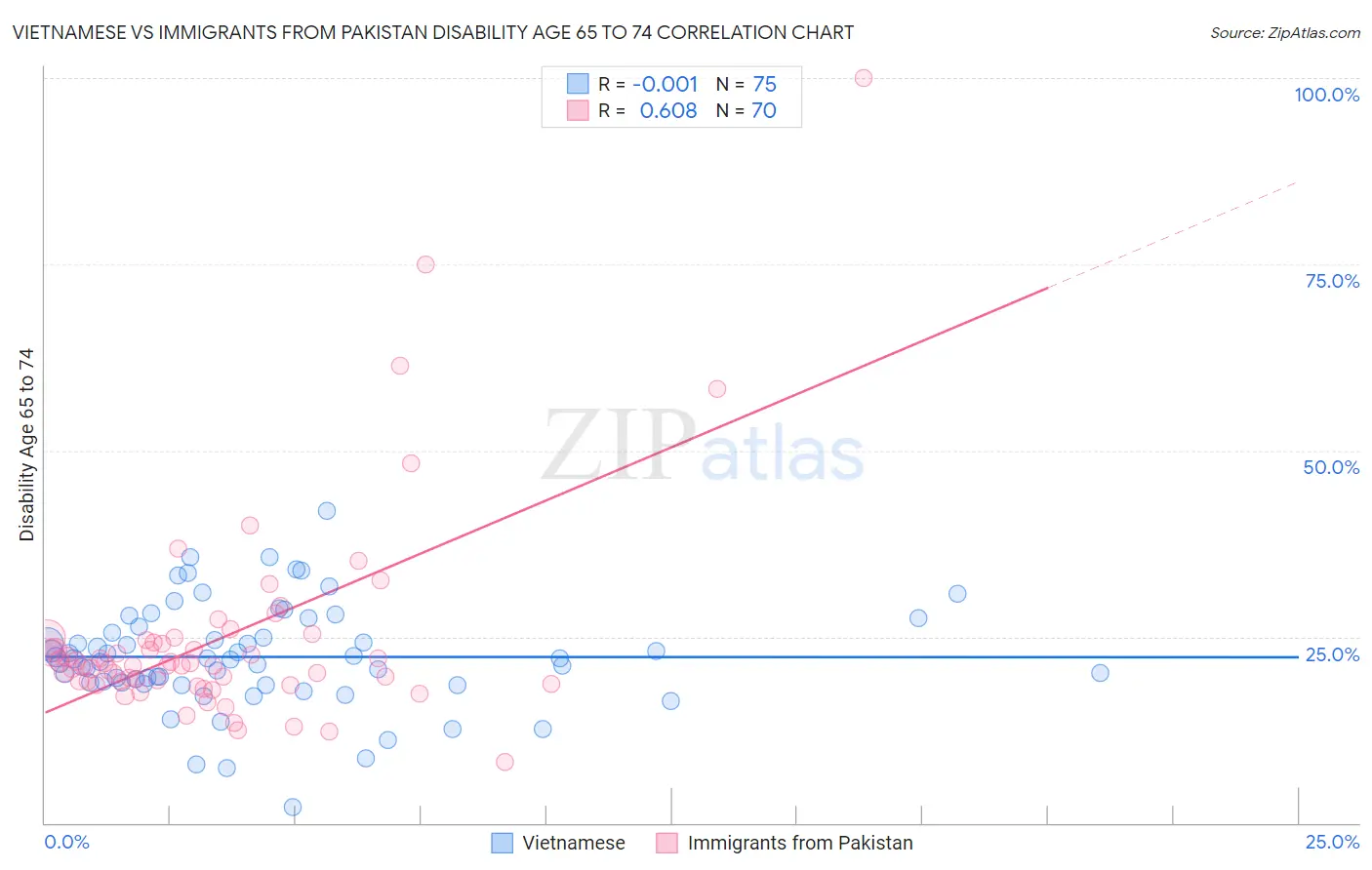 Vietnamese vs Immigrants from Pakistan Disability Age 65 to 74