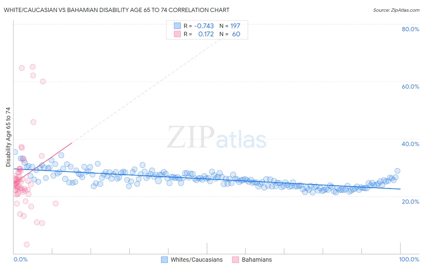 White/Caucasian vs Bahamian Disability Age 65 to 74