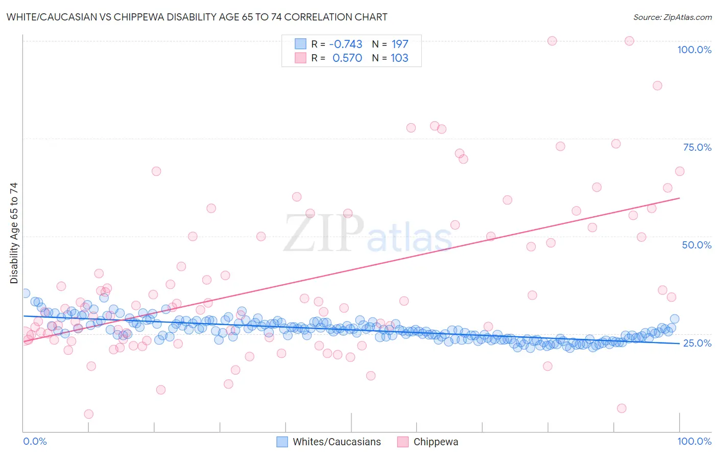 White/Caucasian vs Chippewa Disability Age 65 to 74