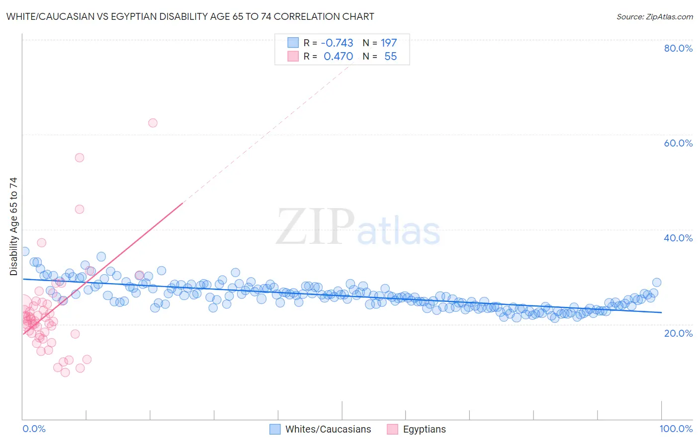 White/Caucasian vs Egyptian Disability Age 65 to 74
