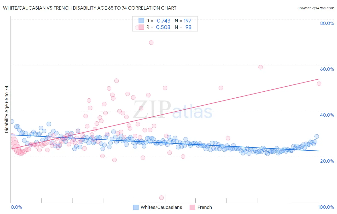 White/Caucasian vs French Disability Age 65 to 74