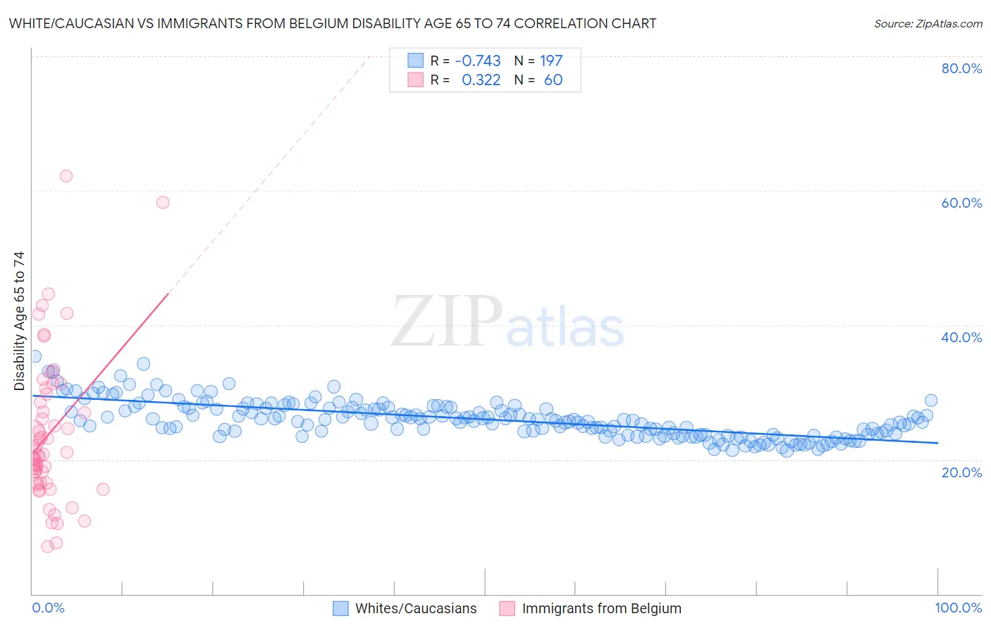 White/Caucasian vs Immigrants from Belgium Disability Age 65 to 74