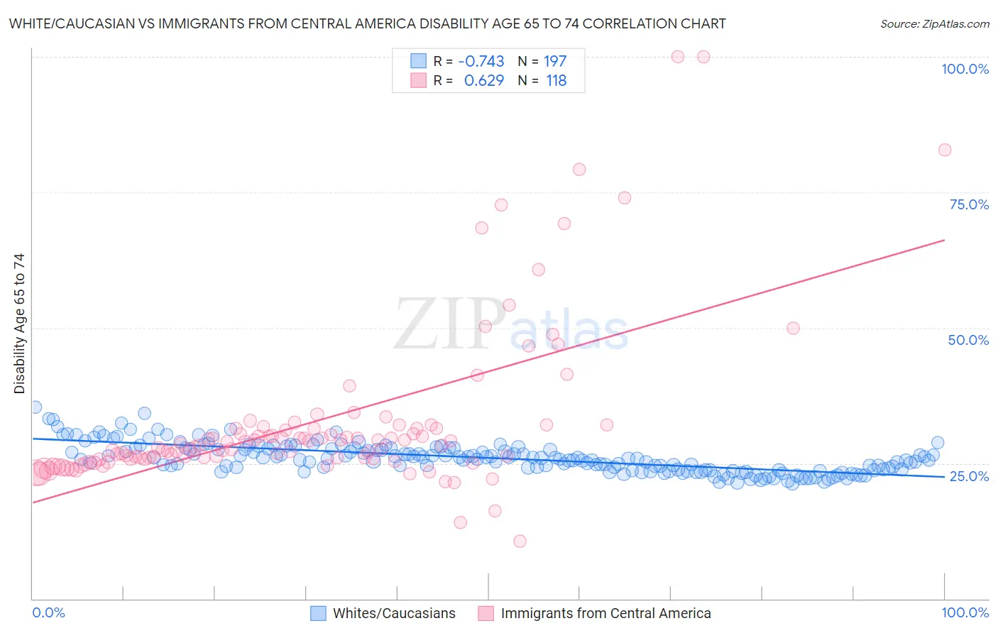 White/Caucasian vs Immigrants from Central America Disability Age 65 to 74