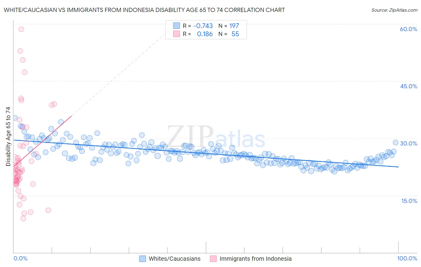 White/Caucasian vs Immigrants from Indonesia Disability Age 65 to 74