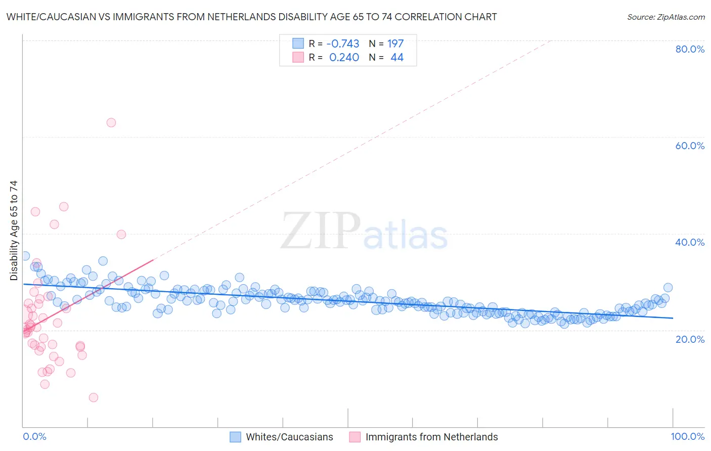 White/Caucasian vs Immigrants from Netherlands Disability Age 65 to 74