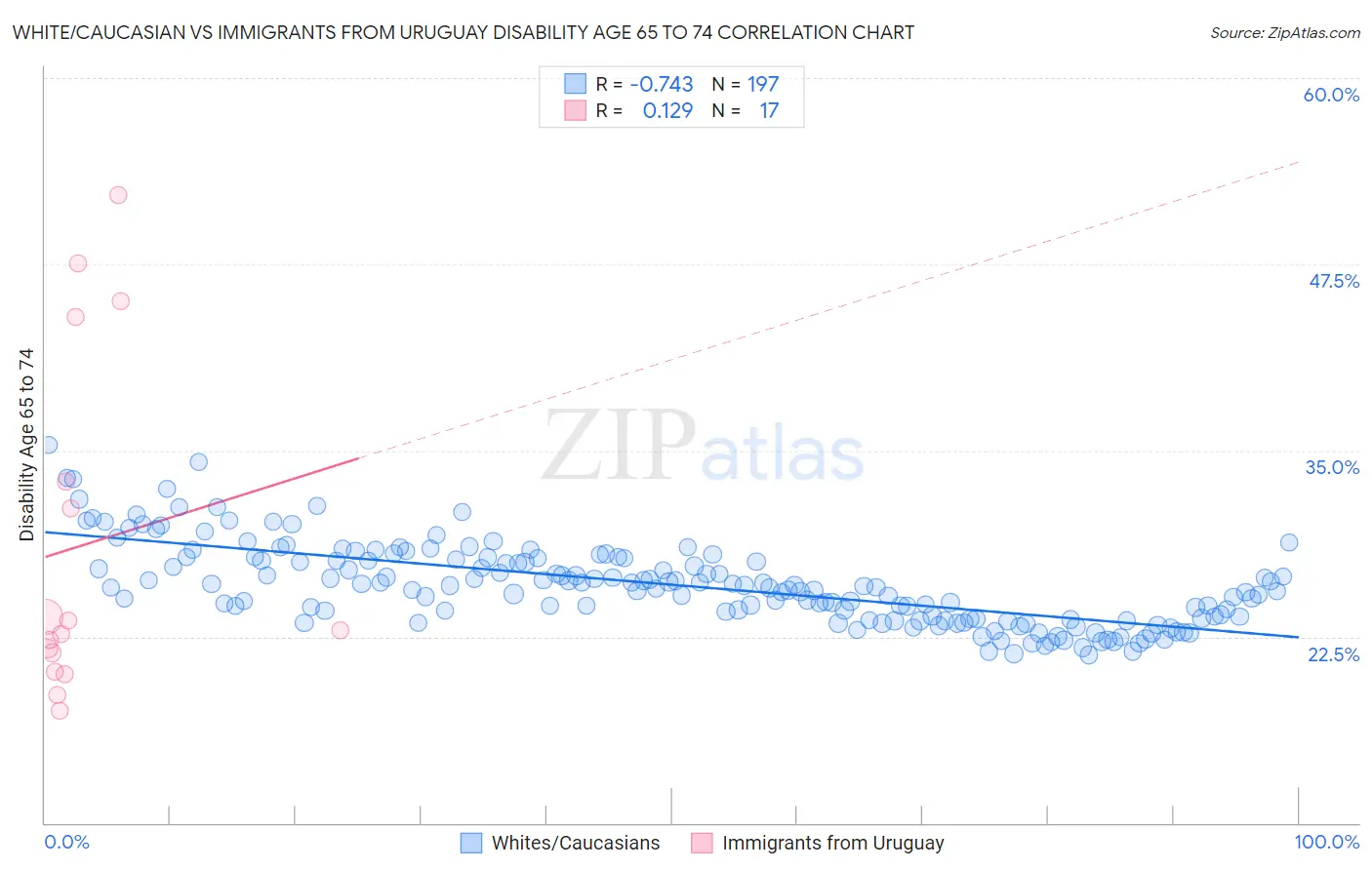 White/Caucasian vs Immigrants from Uruguay Disability Age 65 to 74