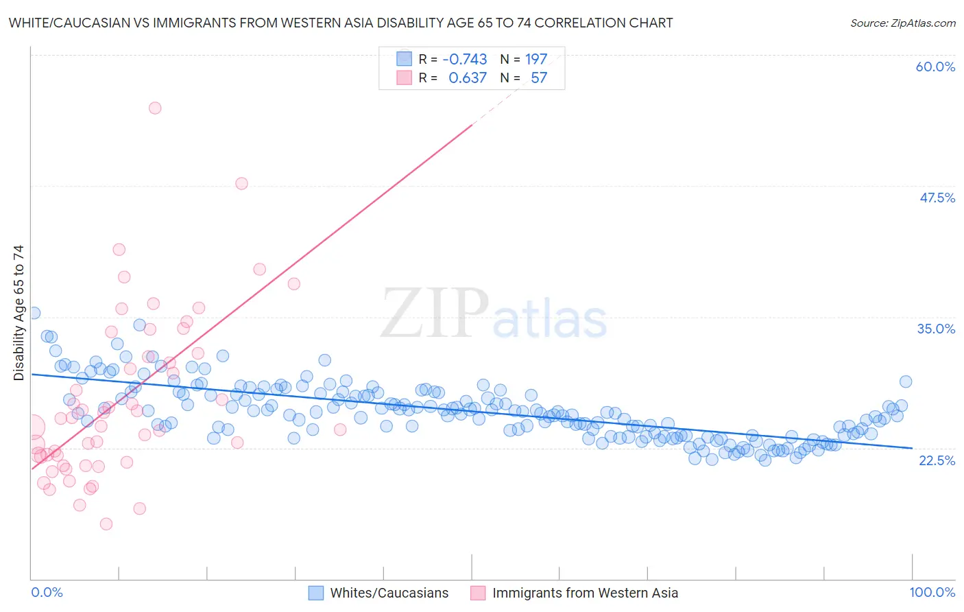 White/Caucasian vs Immigrants from Western Asia Disability Age 65 to 74