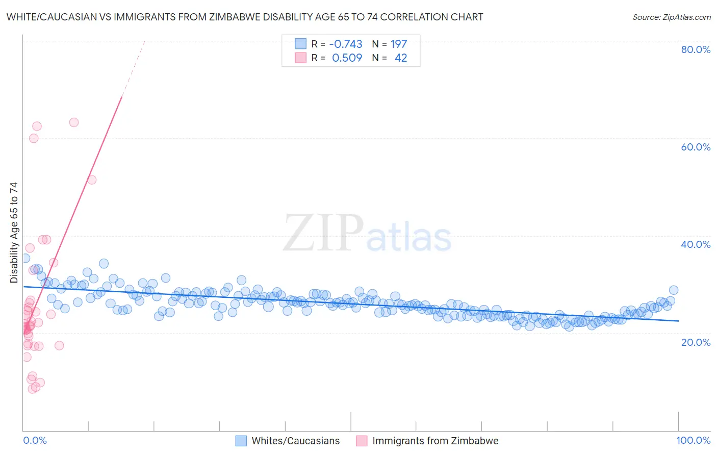 White/Caucasian vs Immigrants from Zimbabwe Disability Age 65 to 74