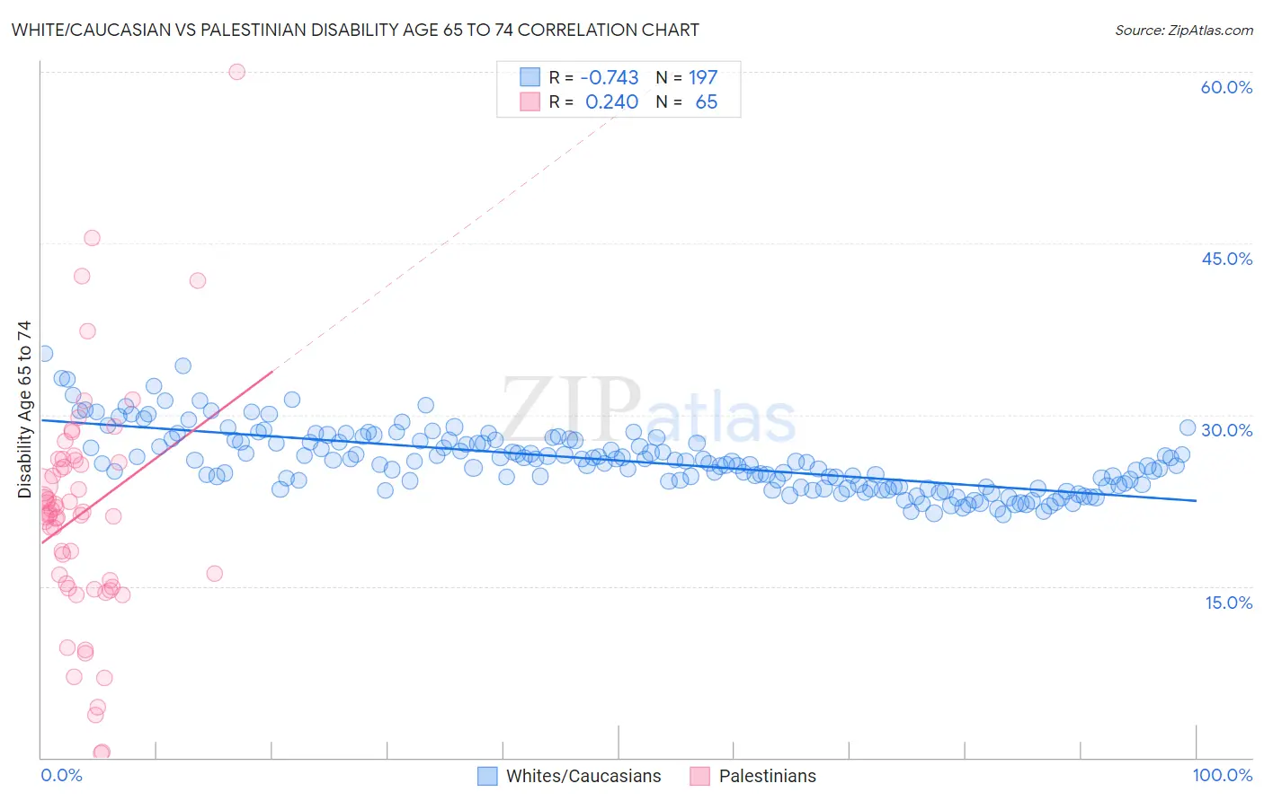 White/Caucasian vs Palestinian Disability Age 65 to 74